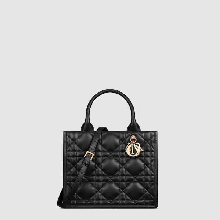 디올 레이디 까나쥬 북토트백 스몰 M1325