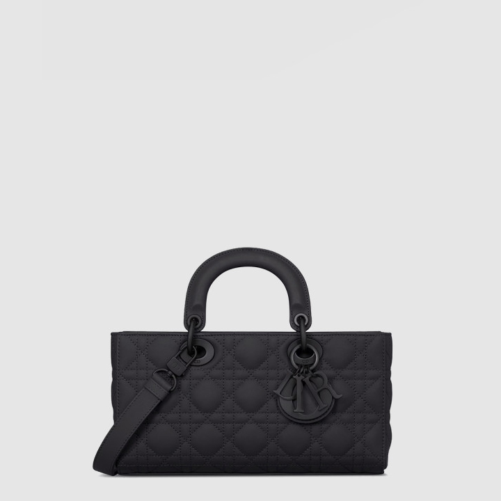 디올 레이디 디조이백 미듐 M0540