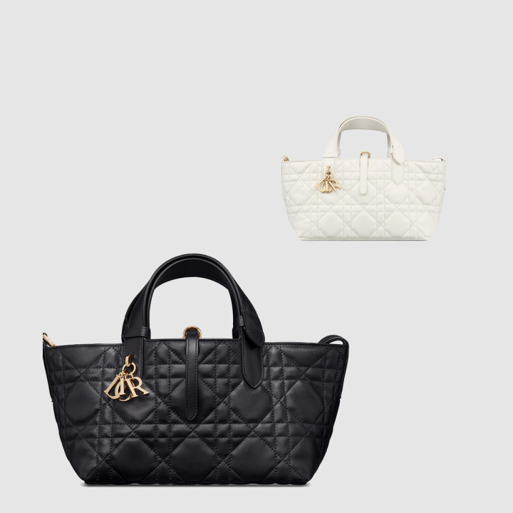 디올 뚜주흐 토트백 스몰 M2822