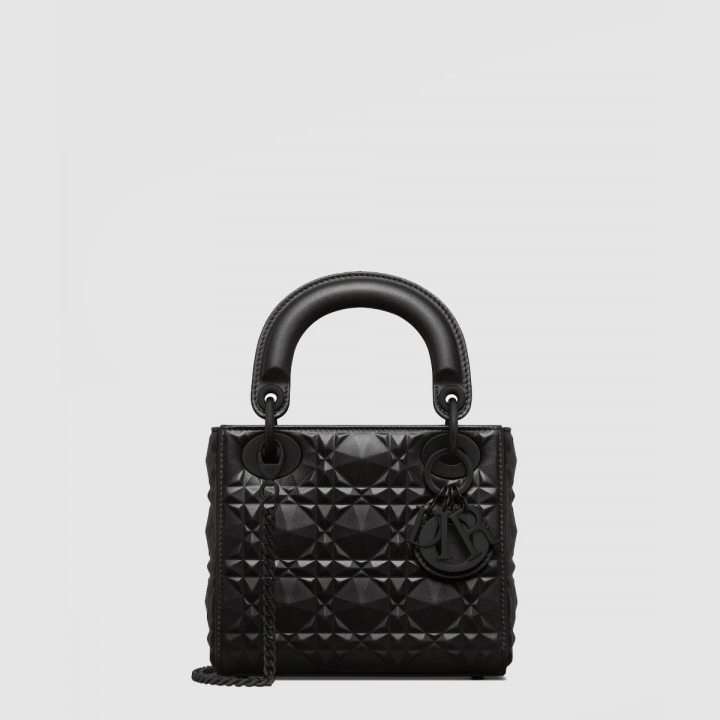 디올 레이디백 다이아몬드 까나쥬 미니 M0505