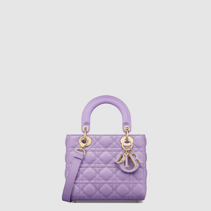 디올 레이디백 램스킨 스몰 M0531