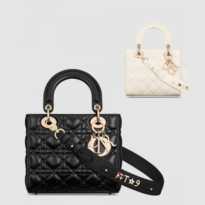 디올 레이디백 ABC M0538