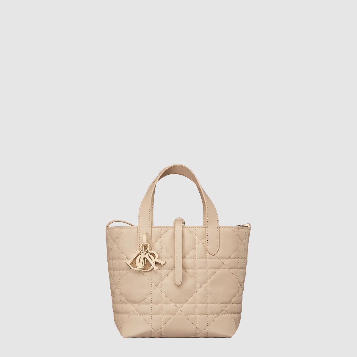 디올 Toujours 스몰 버티컬 토트백 M2835OSNW