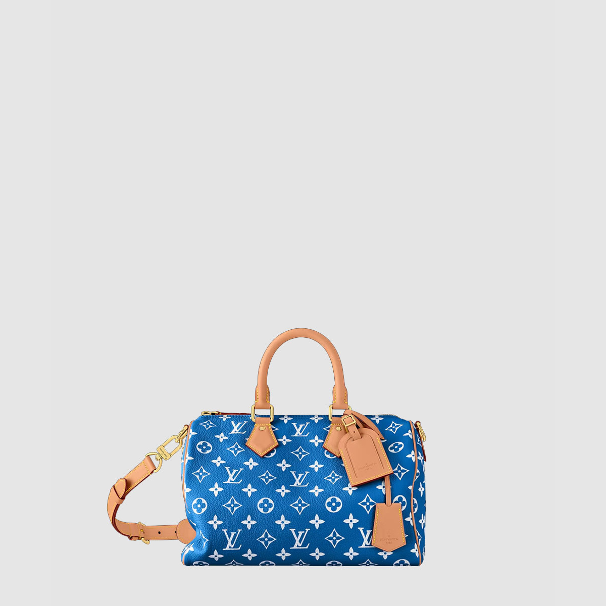 루이비통 Speedy P9 반둘리에 30 M14074