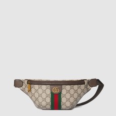 구찌 오피디아 작은 벨트백 839106