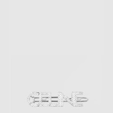 셀린느 크리스탈 모노크롬 헤어클립 460WH6