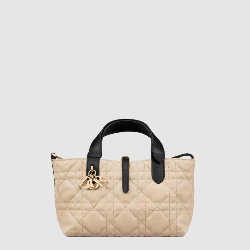 디올 뚜주흐 토트백 스몰 M2822