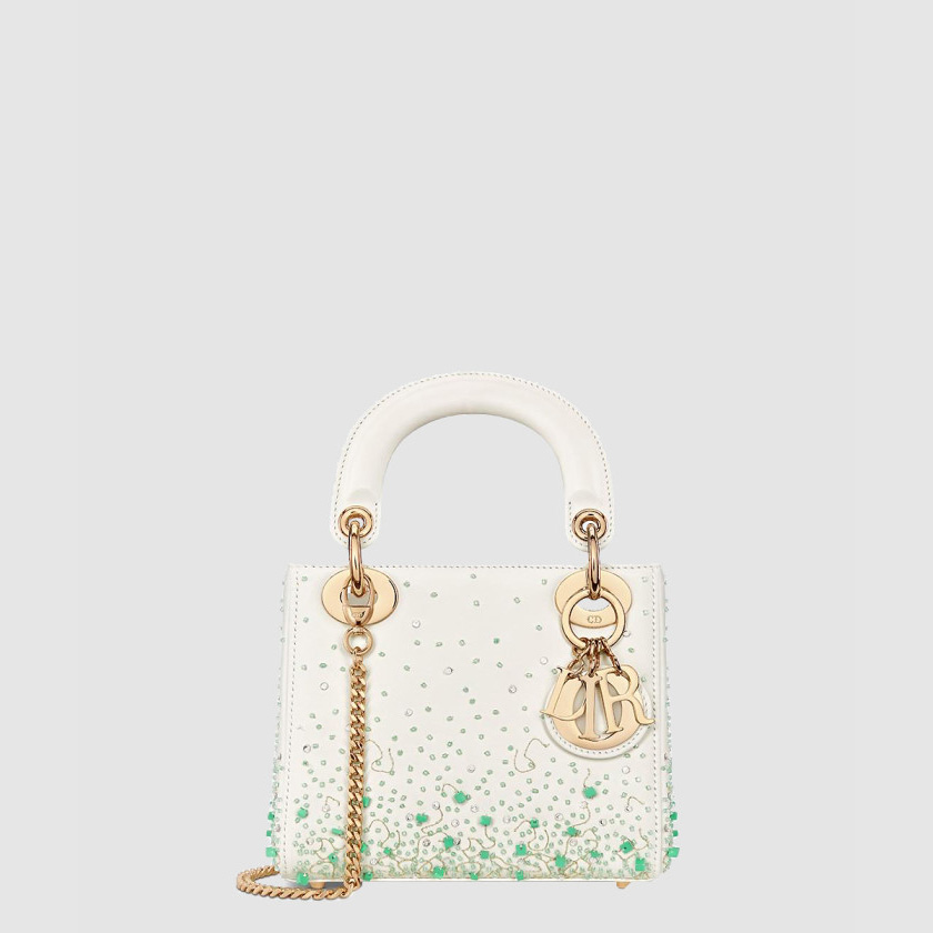 디올 레이디백 미니 M0505