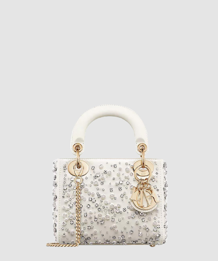 디올 레이디백 미니 M0505