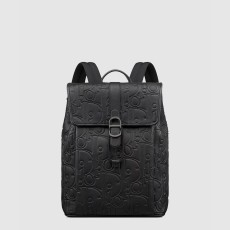 디올 Daily 플랩 백팩 1ESBA231LLG