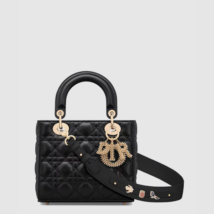 디올 레이디백 ABC M0538