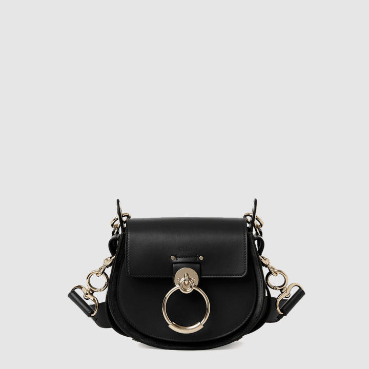 끌로에 샤이니 & 스웨이드 가죽 Tess 스몰백 AS751